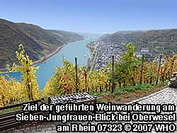 Ziel der geführten Weinwanderung am Sieben-Jungfrauen-Blick bei Oberwesel am Rhein