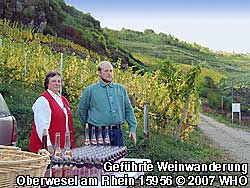 Weine vom Weingut aus dem Weingebiet Mittelrhein werden am Weinwanderweg als Weinverkostung vor der Weinberg-Wanderung angeboten.
