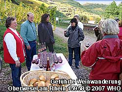 Mittelrhein-Weinbergswanderung bei Oberwesel am Rhein