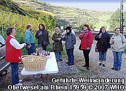 Mittelrhein-Weinbergwanderung bei Oberwesel am Rhein