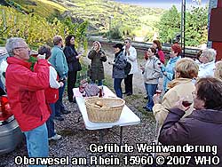 Mittelrhein-Weinlagenwanderung bei Oberwesel am Rhein