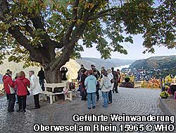Weinerlebnis am Ziel der Weinwanderwege oder einer Weinbergsrundfahrt beim Gründerrodehaus am Burgensteig bzw. Rhein-Höhen-Weg am Mittelrhein Blick ins Rheintal auf Oberwesel und die Schönburg.