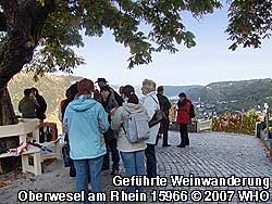 Geführte Weinwanderung am Ziel mit Blick ins Rheintal und auf Oberwesel am Rhein.
