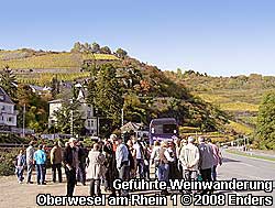 An der Weinstrae im Rheintal beginnt die Wanderung zu den Weinbergen. In Oberwesel am Rhein knnen Busse direkt neben der B 9 kostenfrei parken.