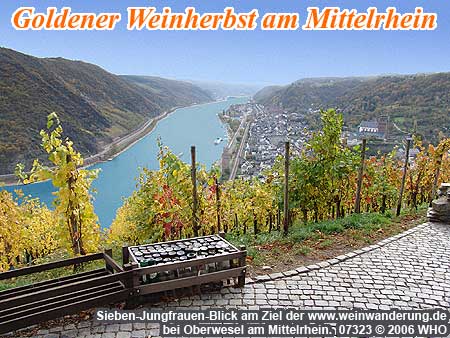 Weinwanderung am Rhein mit Weinprobe oder Weinverkostung im Weinberg in den Weinbaugebieten Rheingau, Mittelrhein, Rheinhessen und Pfalz.