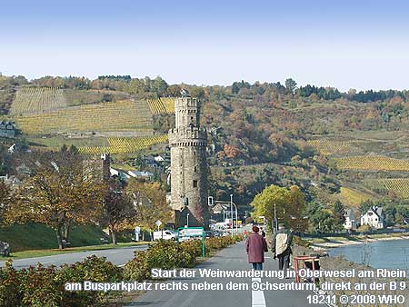 Start der Weinwanderung in Oberwesel am Rhein am Busparkplatz rechts neben dem Ochsenturm, direkt an der B 9.