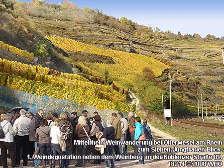 Mittelrhein-Weinwanderung bei Oberwesel am Rhein zum Sieben-Jungfrauen-Blick. Erste Weindegustation neben dem Weinberg an der Koblenzer Straße 89.