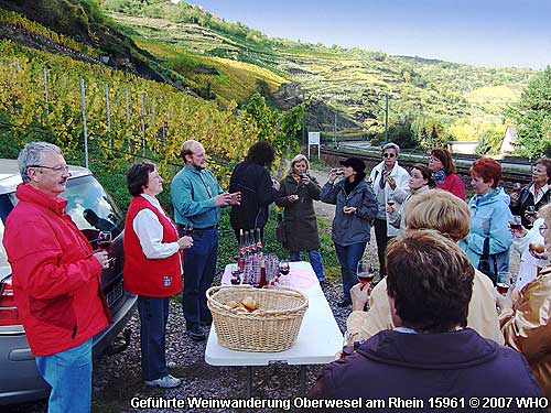 Geführte Weinwanderung Oberwesel am Rhein