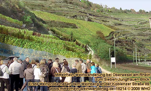 Mittelrhein-Weinwanderung bei Oberwesel am Rhein zum Sieben-Jungfrauen-Blick. Erste Weindegustation neben dem Weinberg an der Koblenzer Strae 89.