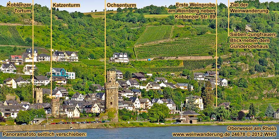 Weinwanderung bei Oberwesel am Rhein: Erste Weinprobe am Weinberg neben Koblenzer Strae 89.
