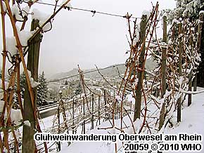 Mittelrhein Gl�hweinwanderung Oberwesel am Rhein