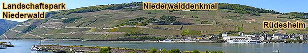 Groe gefhrte Weinwanderung ca. 4 km durch den Landschaftspark Niederwald entlang dem Rheinsteig zum Niederwalddenkmal  und zum Feldtor am Bahnhof Rdesheim am Rhein mit 4 Weinproben im Weinberg