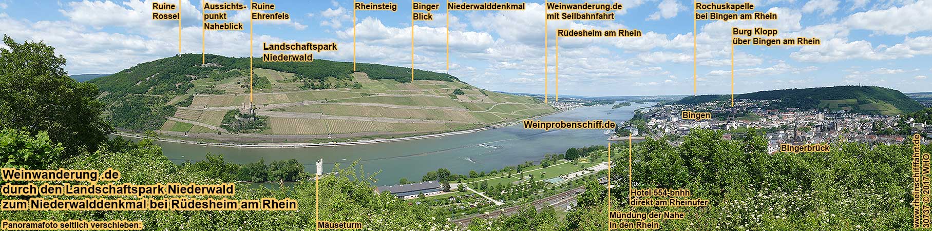 Groe gefhrte Weinwanderung ca. 4 km durch den Landschaftspark Niederwald entlang dem Rheinsteig zum Niederwalddenkmal  und zum Feldtor am Bahnhof Rdesheim am Rhein mit 4 Weinproben im Weinberg