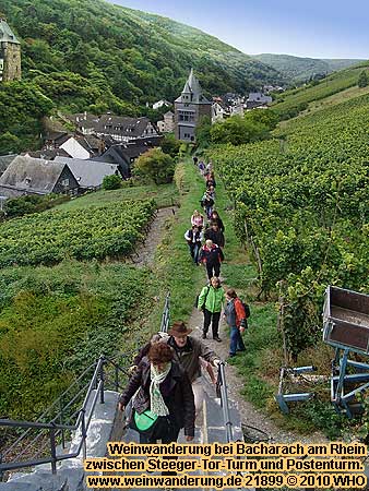 Weinwanderung bei Bacharach am Rhein