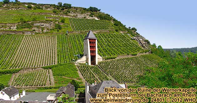 Weinwanderung zum Postenturm bei Bacharach am Rhein
