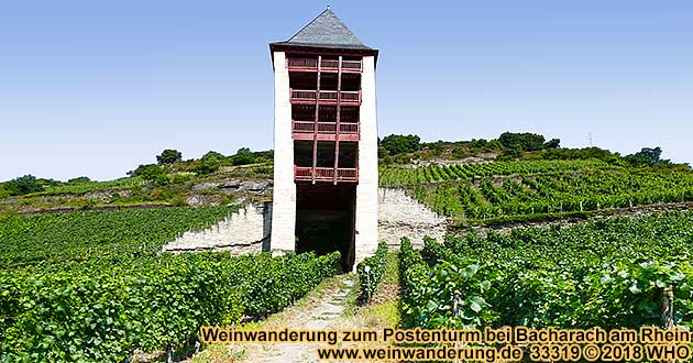 Weinwanderung zum Postenturm bei Bacharach am Rhein