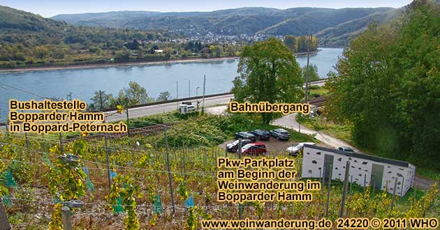 Boppard-Peternach mit Linienbus-Haltestelle an der B9