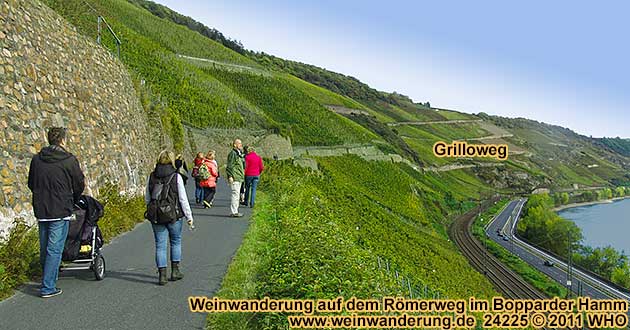 Weinwanderung auf dem Rmerweg im Bopparder Hamm