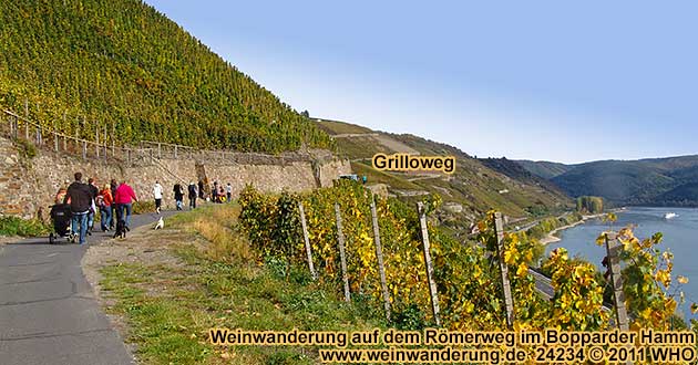 Weinwanderung auf dem Rmerweg im Bopparder Hamm