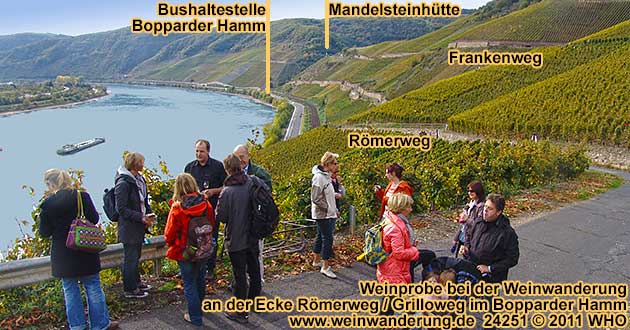 Weinprobe bei der Weinwanderung an der Ecke Römerweg / Grilloweg im Bopparder Hamm