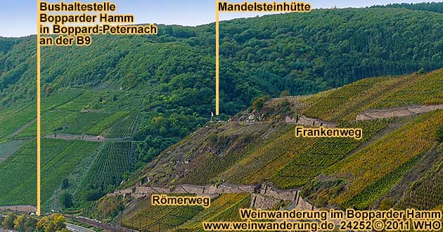 Weinwanderung im Bopparder Hamm entlang Römerweg, Grilloweg und Frankenweg zur Mandelsteinhütte