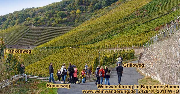 Weinwanderung im Bopparder Hamm auf dem Grilloweg