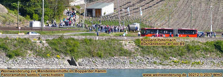 Boppard-Peternach mit Linienbus-Haltestelle Bopparder Hamm neben dem Bahnbergang an der B9