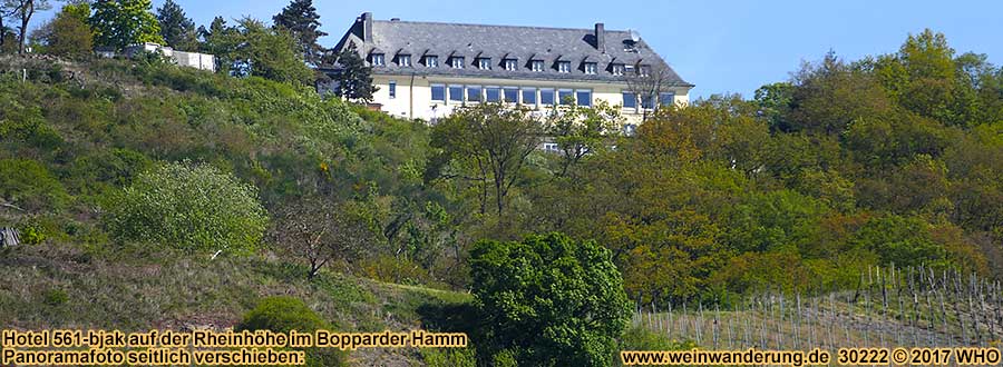 Hotel 561-bjak auf der Rheinhöhe über dem Bopparder Hamm