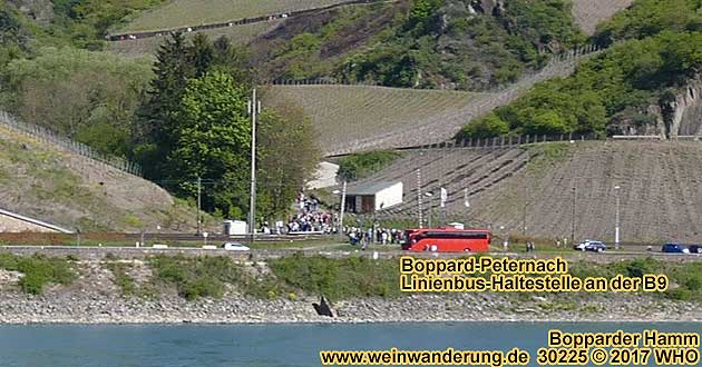 Boppard-Peternach mit Linienbus-Haltestelle Bopparder Hamm neben dem Bahnbergang an der B9