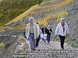 Die Weinberge der Weinanbaugebiete am Rhein sind unterschiedlich steil. Weinreisen mit einer Weinberg-Wanderung und Weinevents im Gewölbekeller oder in den Weinstuben können nicht nur an einem Weinwochenende gebucht werden.
