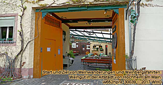 Gefhrte Weinwanderung bei Hochheim am Main mit Rheingau-Weinprobe im Weinberg und in der Gutsschnke im Weingut in der Hochheimer Altstadt-Mitte. Rheingau / Untermain zwischen Mainz und Wiesbaden am Rhein sowie Frankfurt am Main.