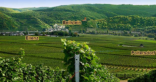 Blick auf Ellenz, Poltersorf und das gegenüber liegende Beilstein bei der Weinwanderung durch die Weinberge an der Mosel