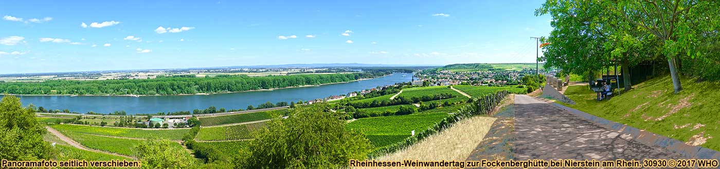 Rheinhessen-Weinwandertag, Weinwanderung bei Nierstein, Blick von der Fockenberghuette auf den Rhein