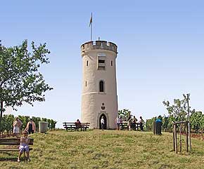 weinwanderung nierstein