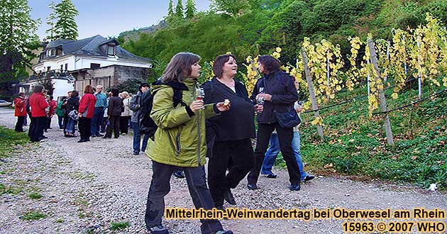 Nach der ersten Weinprobe neben Koblenzer Straße 89 führt die Weinwanderung durch die Weinbergslage Oberweseler Oelsberg.