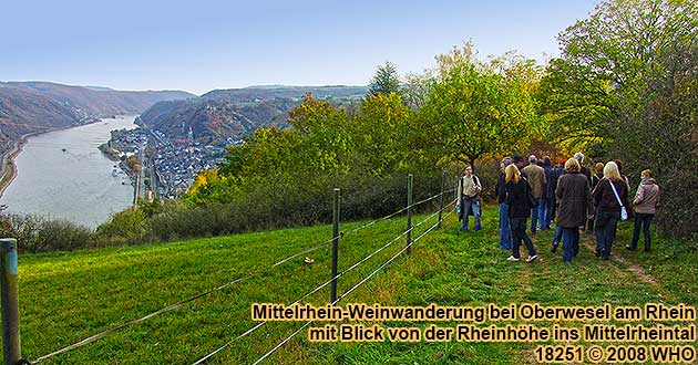 Mittelrhein-Weinwanderung zum Sieben-Jungfrauen-Blick auf Oberwesel am Rhein. Blick ins Rheintal.