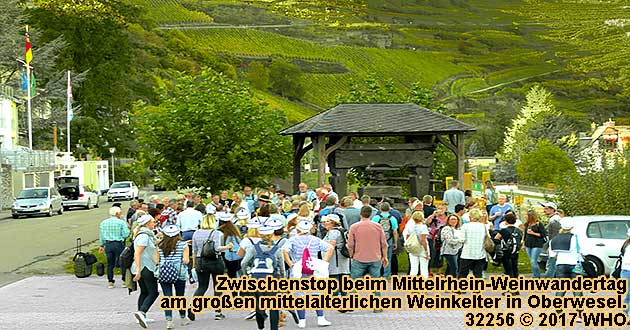 Mittelrhein-Weinwanderung bei Oberwesel am Rhein zum Sieben-Jungfrauen-Blick. Zwischenstopp am großen mittelalterlichen Weinkelter.