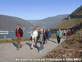 Weinweg über die Rheinhöhenwege im Rheintal. Rheinhöhenwanderung mit einem Weinführer für einen Betriebsausflug, Vereinsausflug und Touristen. Foto Nr. 16, © 2004 WHO