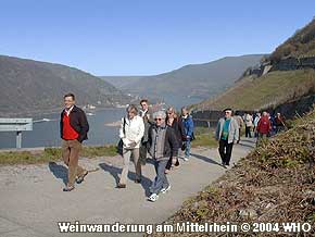 Weinweg ber die Rheinhhenwege im Rheintal. Rheinhhenwanderung mit einem Weinfhrer fr einen Betriebsausflug, Vereinsausflug und Touristen. Foto Nr. 16,  2004 WHO