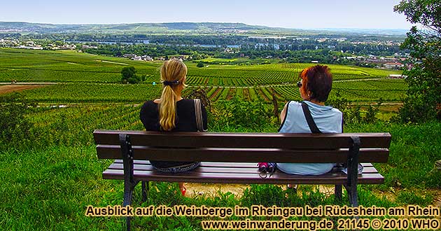 Rast bei der Weinwanderung bei Rüdesheim im Rheingau