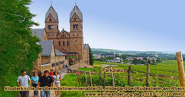 Weinwanderung bei Rüdesheim im Rheingau