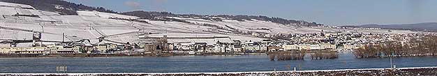 Glhweinwanderung Rdesheim am Rhein / Rheingau