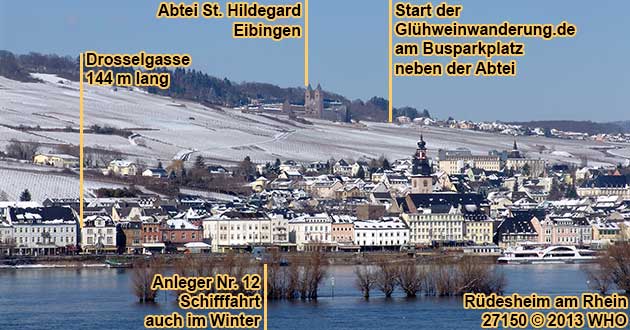 Winterliche Wanderung bei Rüdesheim am Rhein mit Glühweinprobe – Fackelwanderung durch die Rüdesheimer Weinberge