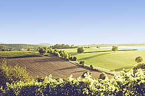 Weinwanderung mit Weinprobe im Weinberg durch die Weinberge bei Mandel 