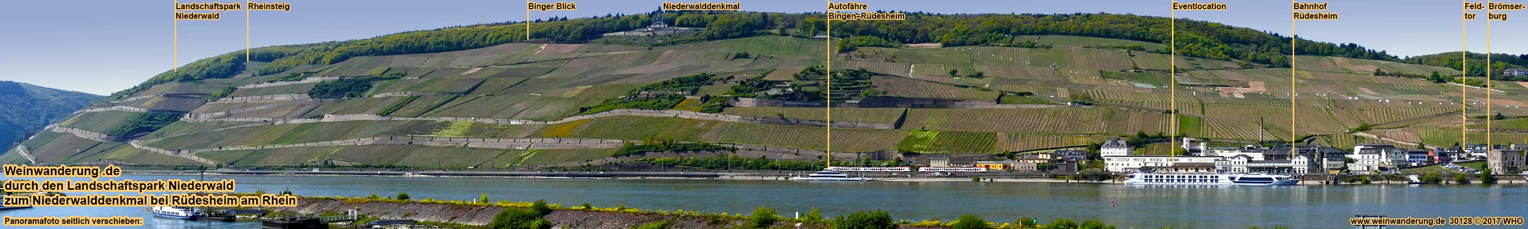 Groe gefhrte Weinwanderung ca. 4 km durch den Landschaftspark Niederwald entlang dem Rheinsteig zum Niederwalddenkmal  und zum Feldtor am Bahnhof Rdesheim am Rhein mit 4 Weinproben im Weinberg